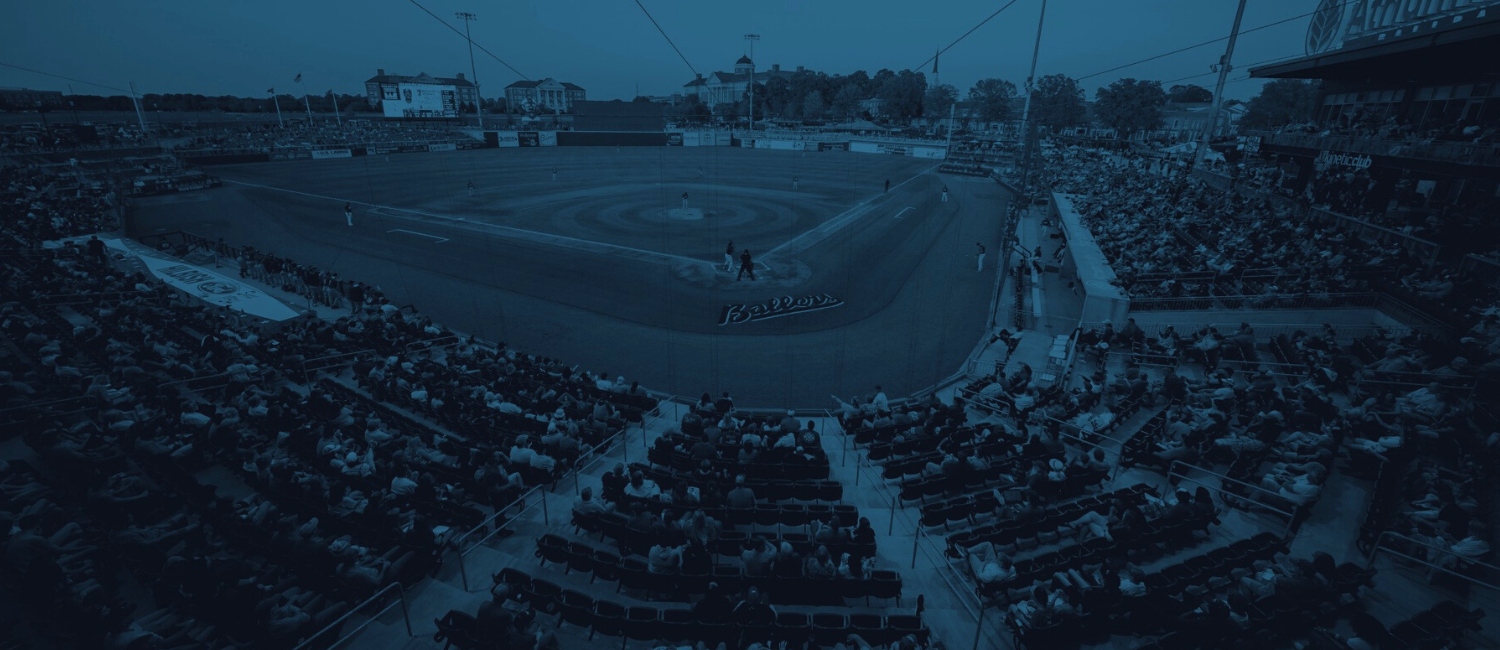 Temerity Capital Partners Temerity Baseball