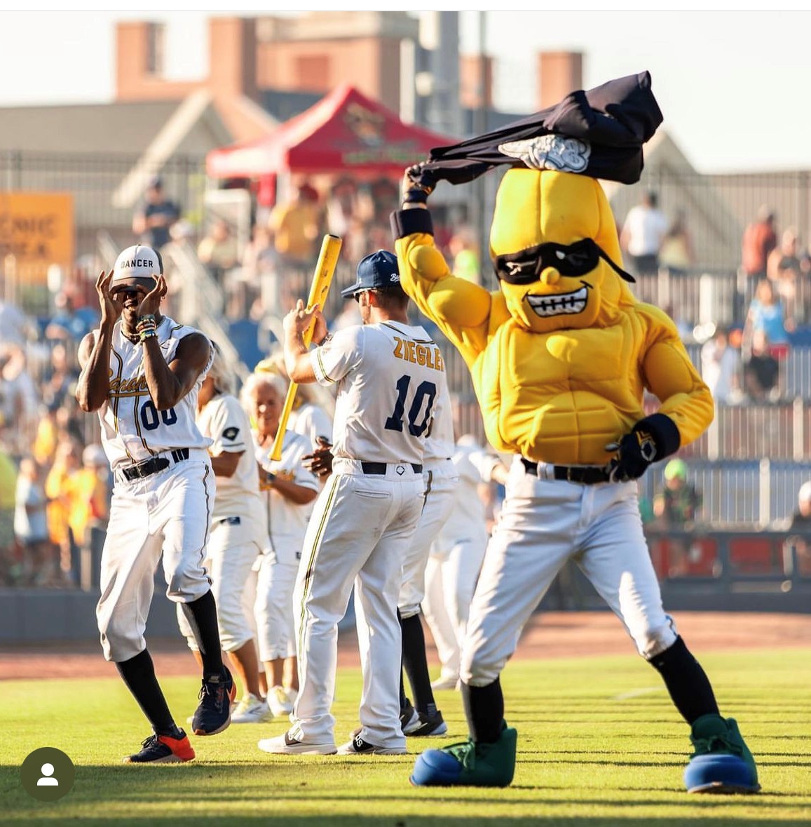 Temerity Capital Partners Charlotte Business Journal Savannah Bananas